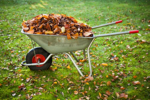 Domestic skip hire options for home clearances and renovations